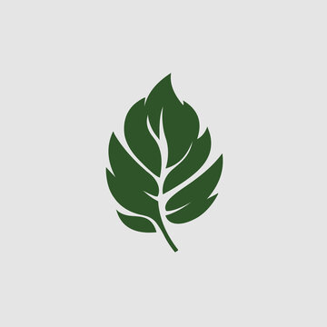 树叶logo