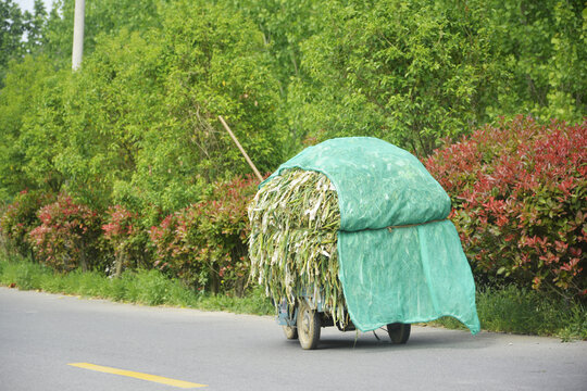 满载而归的小车