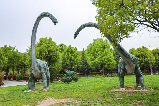 动物 野生动物 鸟类 生物