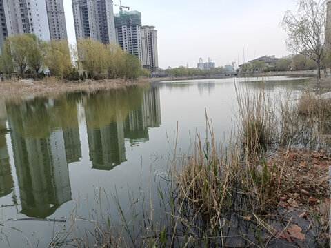城镇风貌