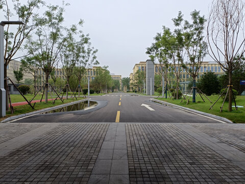道路