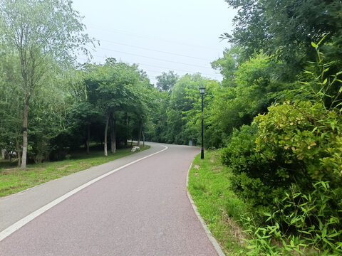 小路