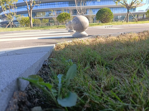 研究院风景