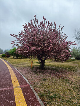 公园塑胶小路