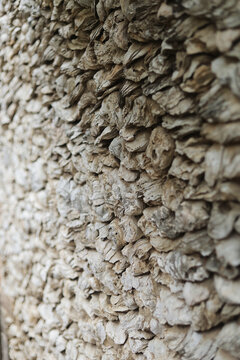 泉州浔埔村牡蛎墙