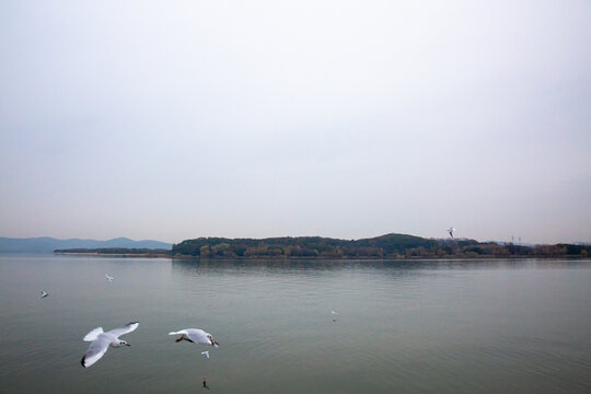 无锡鼋头渚风景区