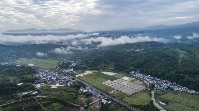 浙江农村风光