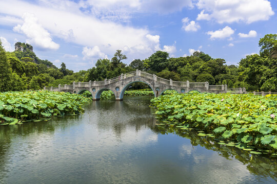 公园荷塘拱桥