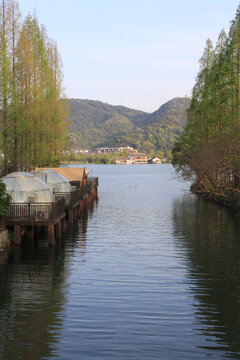 湘湖美景