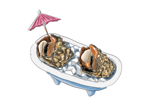 泡澡的海螺手绘美食插画
