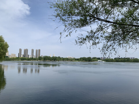 郊区风景