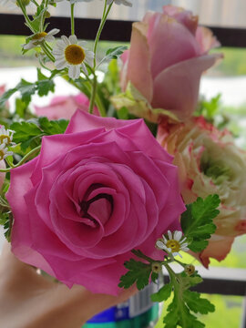 粉色玫瑰插花