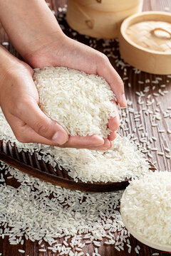 五常稻花香农业水稻稻花香大米
