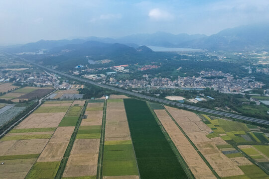 江门台山农业公园鱼塘稻田收割
