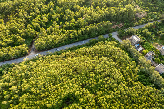 珠海斗门黄杨山日出航拍