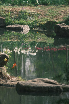 南京中山植物园