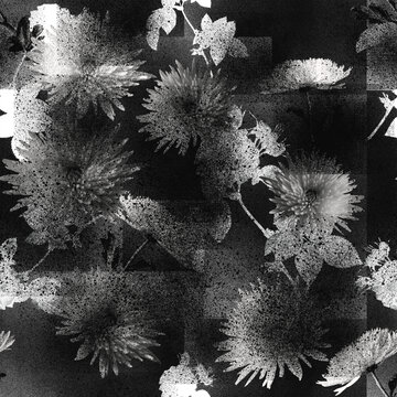 原创黑白抽象花卉背景图