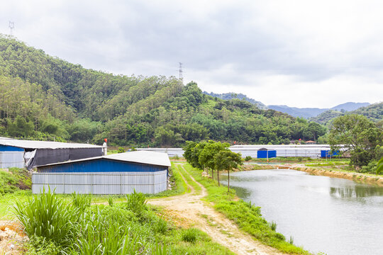 养鸡场建筑