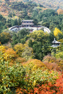 北京香山秋色