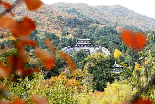 北京香山秋色