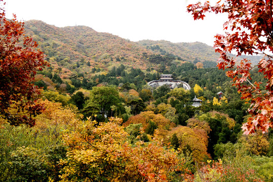 北京香山秋色