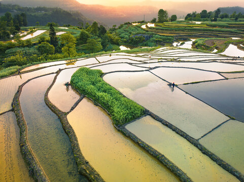 金石梯田