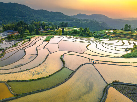 山寨梯田