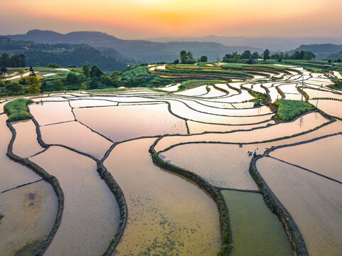 山寨梯田