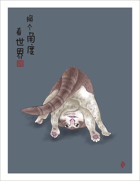 手绘插画猫