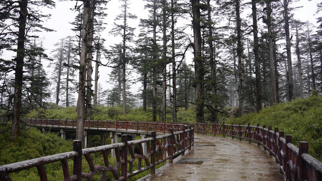 瓦屋山风景区