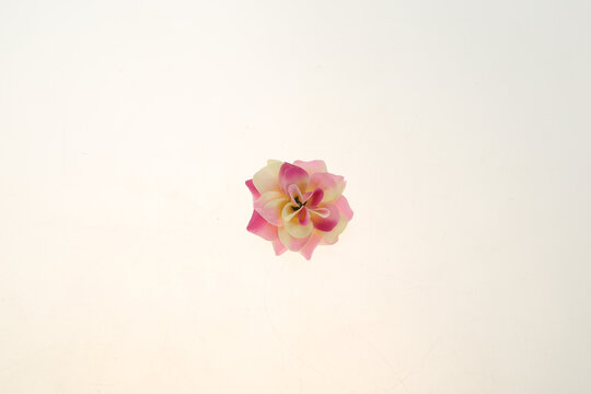 仿真花