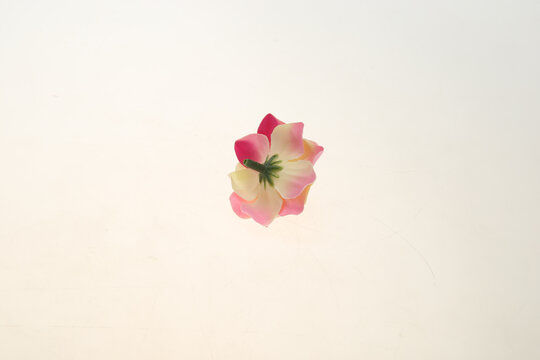 仿真花