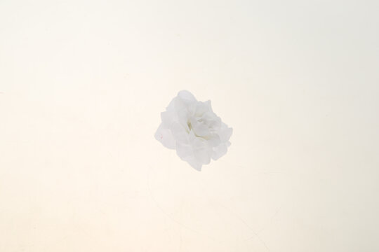 仿真花