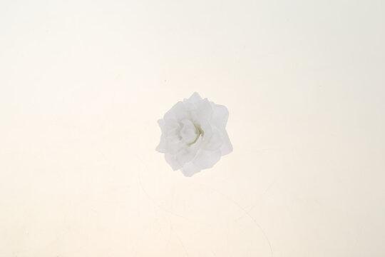 仿真花