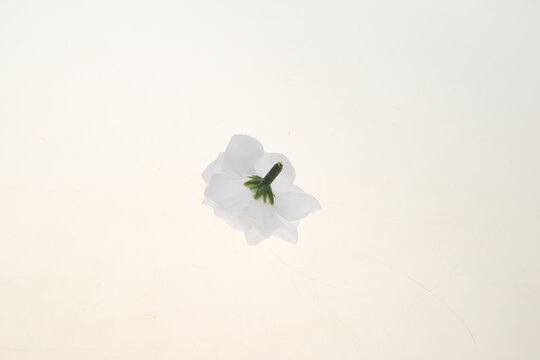 仿真花