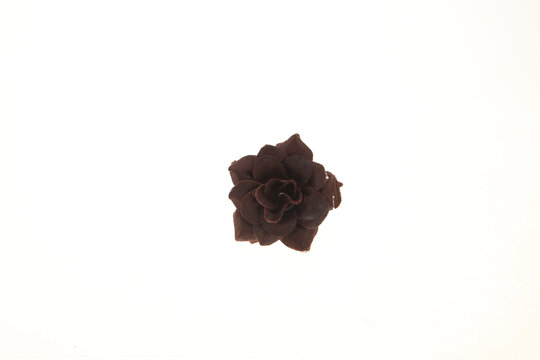仿真花