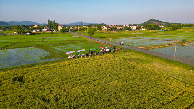 田园风光