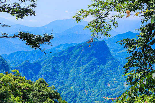 四川青城山