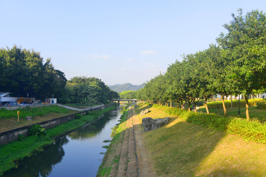 深圳小河河流福田河