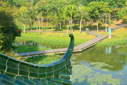 深圳中心公园景观湖水景