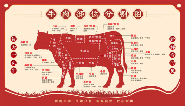 牛肉部位分割图