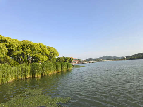 蠡湖湿地