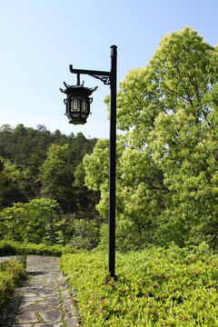 植物园中式路灯