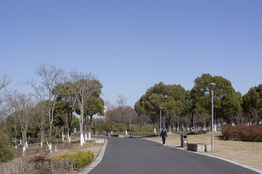 太仓江滩湿地公园