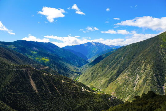 高原牧场