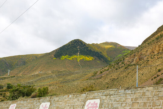 高原风光