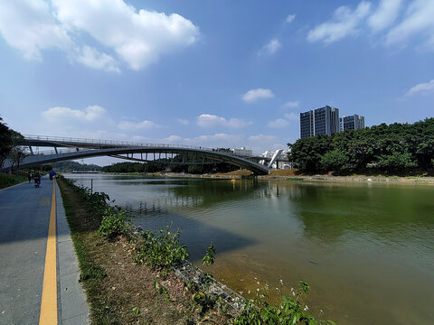 光明茅洲河风光