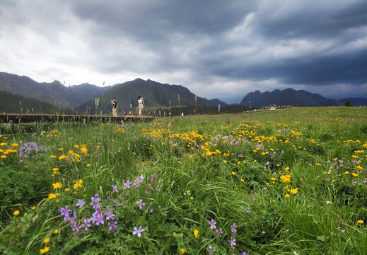 山雨欲来