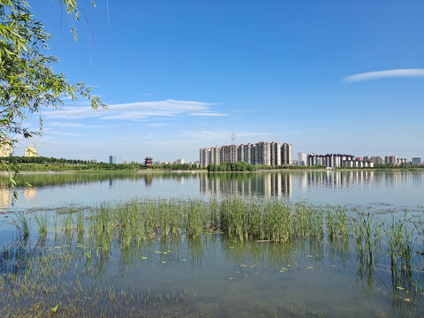 蓝天下的城市公园