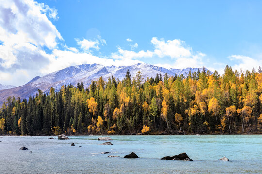 喀纳斯旅游景区秋色雪山湖水